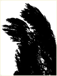 Fotografia artística