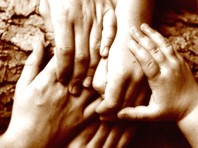 Sabedoria e fraternidade