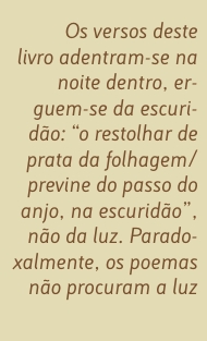 Citação