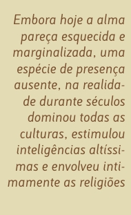 Citação