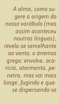 Citação