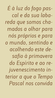 Citação