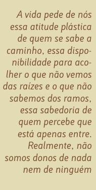 Citação