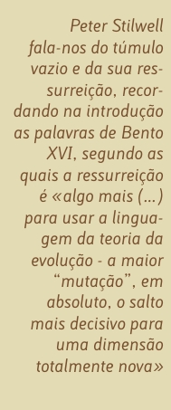 Citação