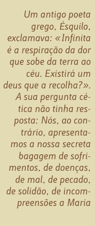 Citação